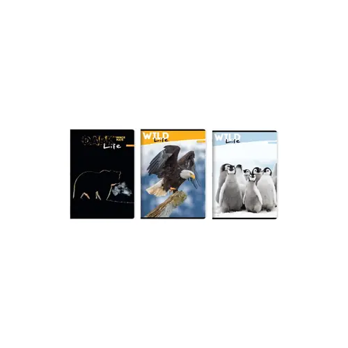 Bilježnica Ilijanum A4 70g 60L crte wild life-2
