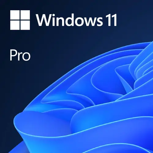 Microsoft Windows 11 Pro ENG 64x OEM, FQC-10528-0