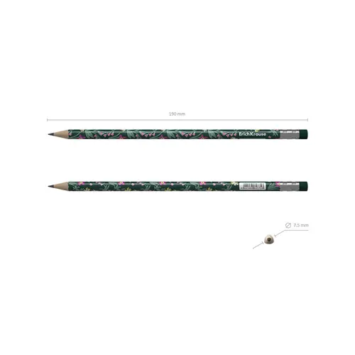 Graphite pencil ErichKrause Floral Soul HB with eraser round assorted 62775-4