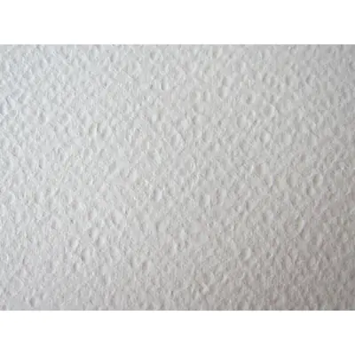 Paper Fabriano watercolor gf 50x70 200g  62000237