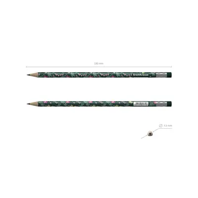Graphite pencil ErichKrause Floral Soul HB with eraser round assorted 62775-4