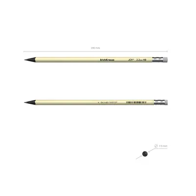 Graphite pencil ErichKrause Pastel HB with eraser pastel assorted 55272-4