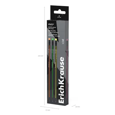 Graphite pencil ErichKrause Vivo HB with eraser triangular assorted 12/1 45622-5